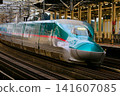 At Nasushiobara Station on the Tohoku Shinkansen line: [E5/H5 series] 141607085