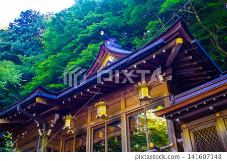 Kifune Shrine, the shrine of the water god, offers blessings for: fulfillment of all wishes, improved fortune, matchmaking, and protection from water-related disasters. Kifune Shrine, the shrine of the water god, offers blessings for: fulfillment of all wishes, improved fortune, matchmaking, and protection from water-related disasters. 141607148