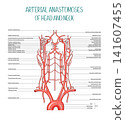 Arterial Anastomoses of the Head and Neck Anatomy Diagram 141607455