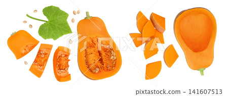 butternut squash slice isolated on white background with full depth of field. Top view. Flat lay butternut squash slice isolated on white background with full depth of field. Top view. Flat lay 141607513