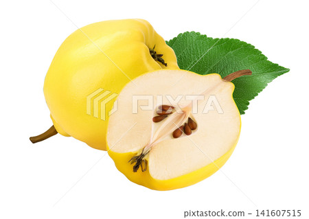 Fresh quince half isolated on the white background with full depth of field Fresh quince half isolated on the white background with full depth of field 141607515
