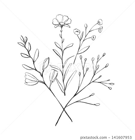 簡單的線條畫花卉擺設插圖 141607953