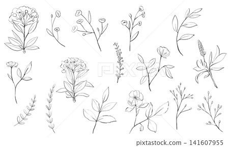 Botanical-themed line art illustration set Botanical-themed line art illustration set 141607955