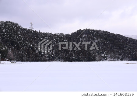 雪後的景色 141608159