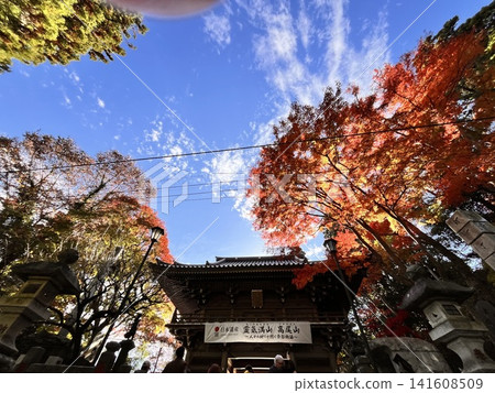 Autumn leaves of Mt. Takao Autumn leaves of Mt. Takao 141608509