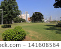 Yamashita Park and Yokohama Minato Mirai 21 (Yokohama, Kanagawa) 141608564