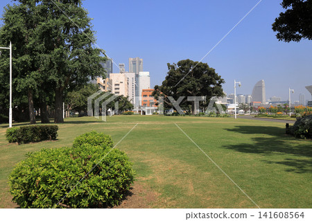 山下公園與橫濱港未來21(橫濱、神奈川) 山下公園與橫濱港未來21(橫濱、神奈川) 141608564