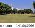 Yamashita Park and Yokohama Minato Mirai 21 (Yokohama, Kanagawa) 141608566