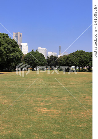 山下公園與橫濱港未來21(橫濱、神奈川) 山下公園與橫濱港未來21(橫濱、神奈川) 141608567