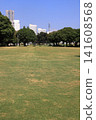 Yamashita Park and Yokohama Minato Mirai 21 (Yokohama, Kanagawa) 141608568