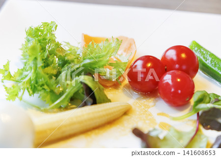 A salad plate with colorful fresh vegetables and cherry tomatoes. A salad plate with colorful fresh vegetables and cherry tomatoes. 141608653