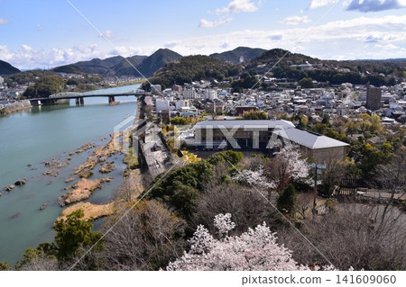 日本愛知縣犬山市:春天的犬山城,櫻花盛開。從國寶級城堡塔樓的頂層俯瞰周圍的城市景觀和自然風光。 日本愛知縣犬山市:春天的犬山城,櫻花盛開。從國寶級城堡塔樓的頂層俯瞰周圍的城市景觀和自然風光。 141609060