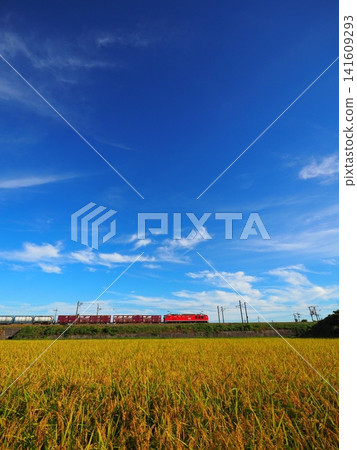 一列 EF510 型電力機車（貨運列車，垂直編組）在秋色宜人的鄉村景色中行駛，背景是湛藍的天空。 141609293