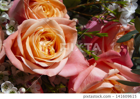 bloom, blossom, bouquet 141609615