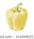 Watercolor illustration of a yellow bell pepper 141609625