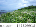 Natsugahama Hamau Park 141609918