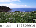 Natsugahama Hamau Park 141609919