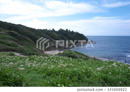 Natsugahama Hamau Park 141609922