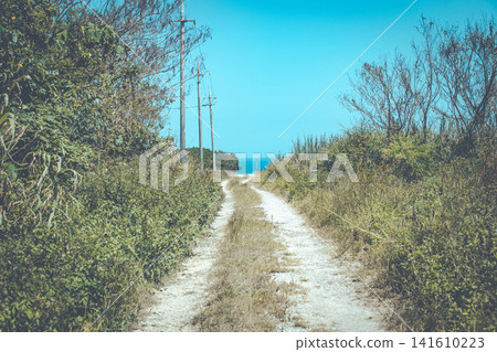 通往大海的路 通往大海的路 141610223