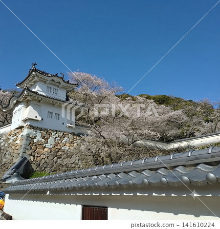 Cherry blossoms and castles against the spring blue sky Cherry blossoms and castles against the spring blue sky 141610224