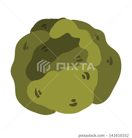 Doodle cabbage illustration. Colorful hand drawn green cabbage vegetable isolated on white in sketch style. Doodle cabbage illustration. Colorful hand drawn green cabbage vegetable isolated on white in sketch style. 141610332