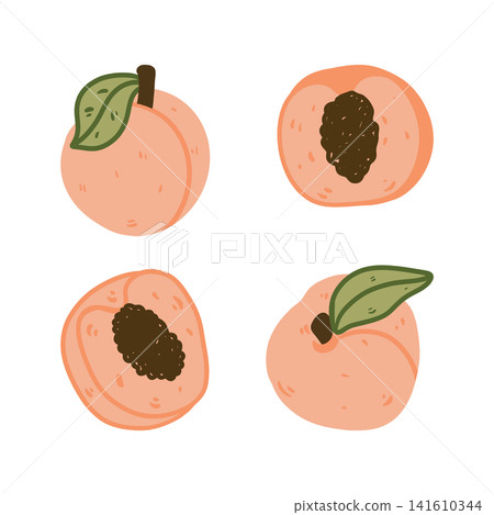 Doodle peach set with whole peaches and peach halves, cute hand drawn fruit collection, fresh summer fruit illustration, isolated food elements design 141610344