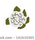 Doodle colorful cauliflower illustration. Colorful hand drawn vegetable isolated on white in sketch style. 141610365