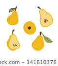 Doodle set of 5 pear elements, whole pear, pear slices and half cut fruit, hand drawn fresh fruit collection, cute food illustration isolated design 141610376