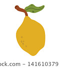 Doodle lemon fruit illustration. Colorful hand drawn yellow citrus fruit isolated on white in sketch style. 141610379