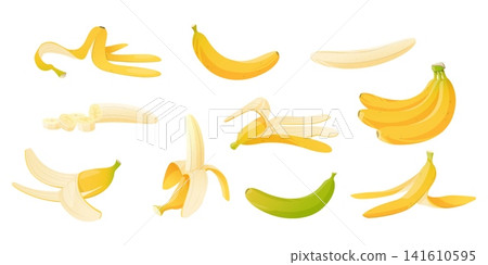 Cartoon banana. Bunch, whole tropical fruit and slices. Yellow peel. Ripe and unripe. Food waste. Dietary product. Recycling litter. Slipping on husk. Plant shells isolated vector set 141610595