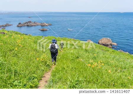 "Aomori Prefecture" Flower-filled Cape Landscape: Tanesashi Coast 141611407