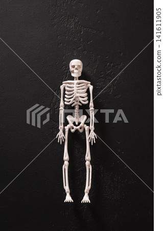 Halloween skeleton on black textured background Halloween skeleton on black textured background 141611905