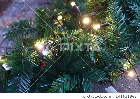 We decorate the street with Christmas trees. We decorate the street with Christmas trees. 141611962