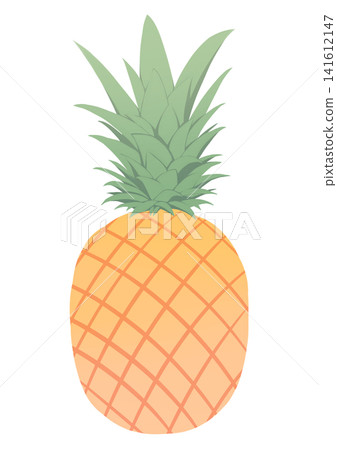 simple pineapple illustration simple pineapple illustration 141612147