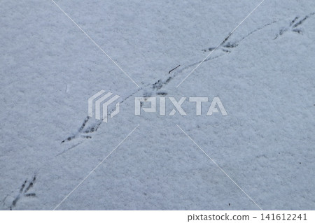 The footprints of a crow on a snowy day. The footprints of a crow on a snowy day. 141612241