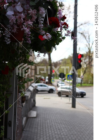 Decoration of facades with artificial flowers. Decoration of facades with artificial flowers. 141612406