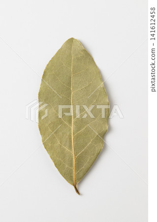 一片乾月桂葉(月桂葉)置於白色背景上。 一片乾月桂葉(月桂葉)置於白色背景上。 141612458