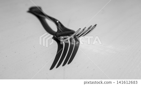 Black cutting pliers with steel jaws and sharp wire cutting edge, isolated on clean white surface, close-up monochrome tool view for repair, workshop, electrical, and home improvement themes Black cutting pliers with steel jaws and sharp wire cutting edge, isolated on clean white surface, close-up monochrome tool view for repair, workshop, electrical, and home improvement themes 141612683