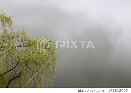Reflection of the cloudy sky in the lake. Reflection of the cloudy sky in the lake. 141612695