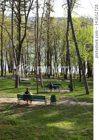 People are sitting on benches in a spring park. People are sitting on benches in a spring park. 141612728
