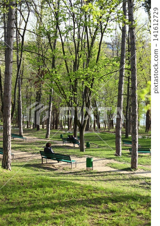 People are sitting on benches in a spring park. People are sitting on benches in a spring park. 141612729