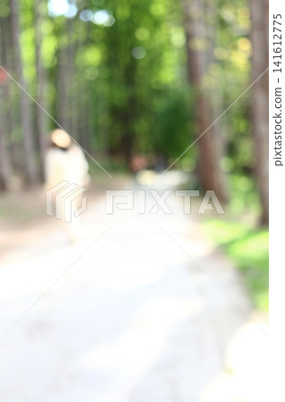 Abstract blurred image of people at the park. Abstract blurred image of people at the park. 141612775