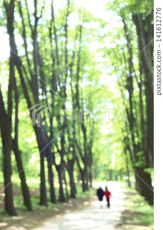 Abstract blurred image of people at the park. Abstract blurred image of people at the park. 141612776