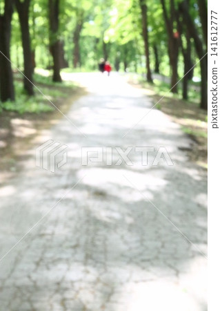Abstract blurred image of people at the park. Abstract blurred image of people at the park. 141612777
