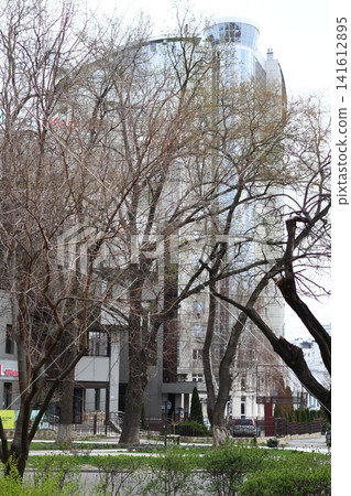 A tree without leaves in front of the facade. A tree without leaves in front of the facade. 141612895