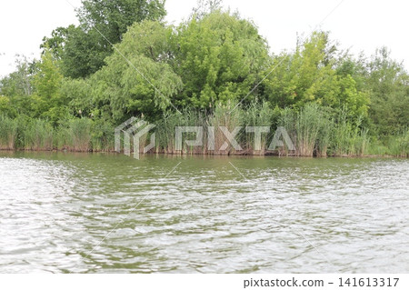 Lake in La Izvor City Park. Lake in La Izvor City Park. 141613317