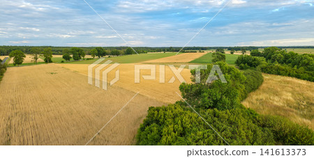 Panoramic view of patchwork farmland with golden wheat and green crop fields. Concept of agriculture, harvest and rural countryside life Panoramic view of patchwork farmland with golden wheat and green crop fields. Concept of agriculture, harvest and rural countryside life 141613373
