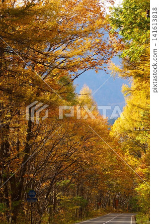 A mountain road in Japan surrounded by vibrant autumn foliage and the scenery of autumn. A mountain road in Japan surrounded by vibrant autumn foliage and the scenery of autumn. 141613818