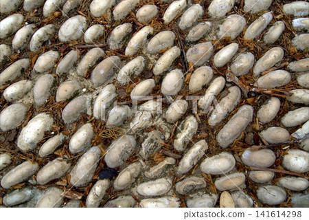 Background of sea-stone masonry in a city garden Background of sea-stone masonry in a city garden 141614298