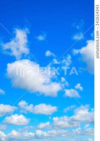 fluffy white cloud in a bright blue sky occupies the entire vertical composition fluffy white cloud in a bright blue sky occupies the entire vertical composition 141614343
